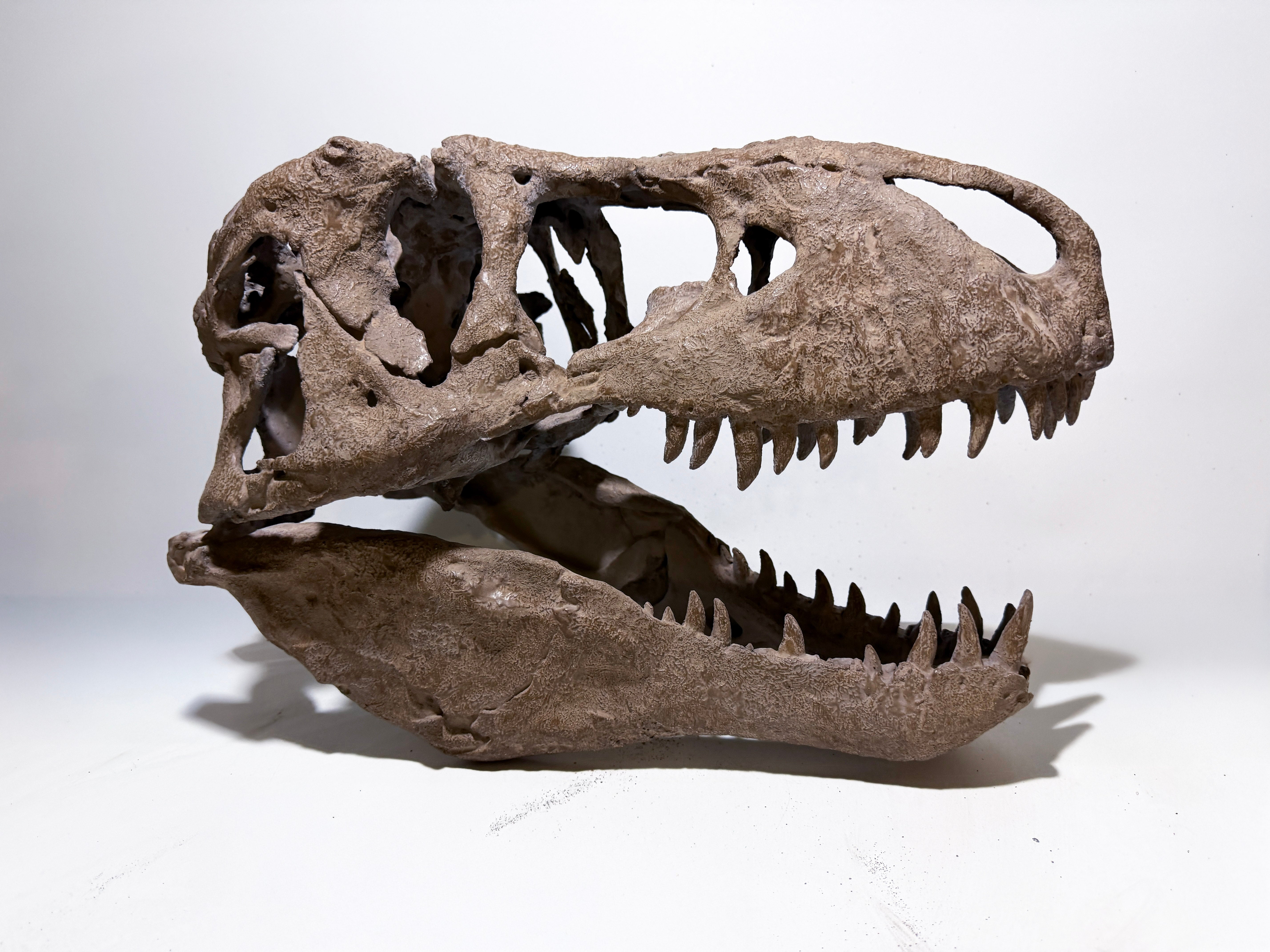 Aged Fossil Coating