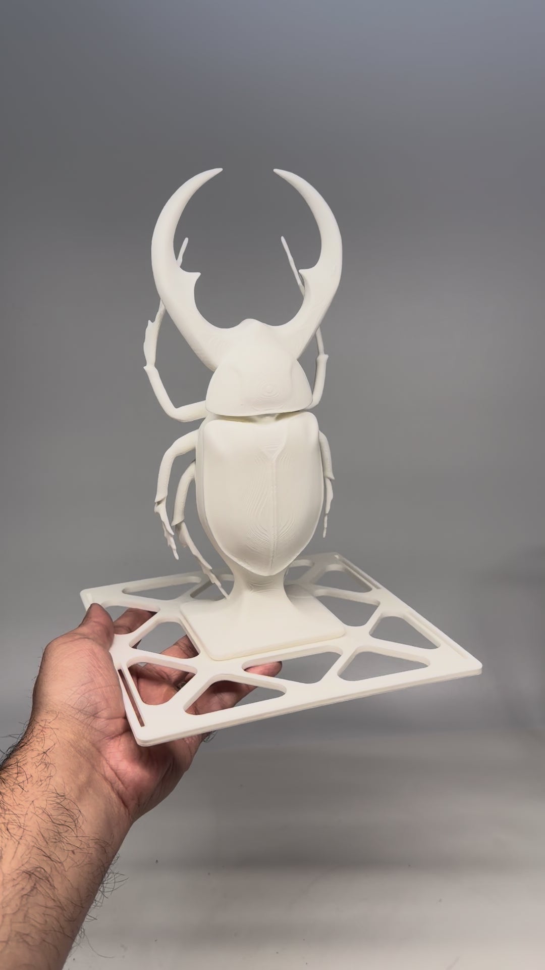 Load video: SculptCoat™ Cure Station – FREE STL Download (Print-at-Home)
